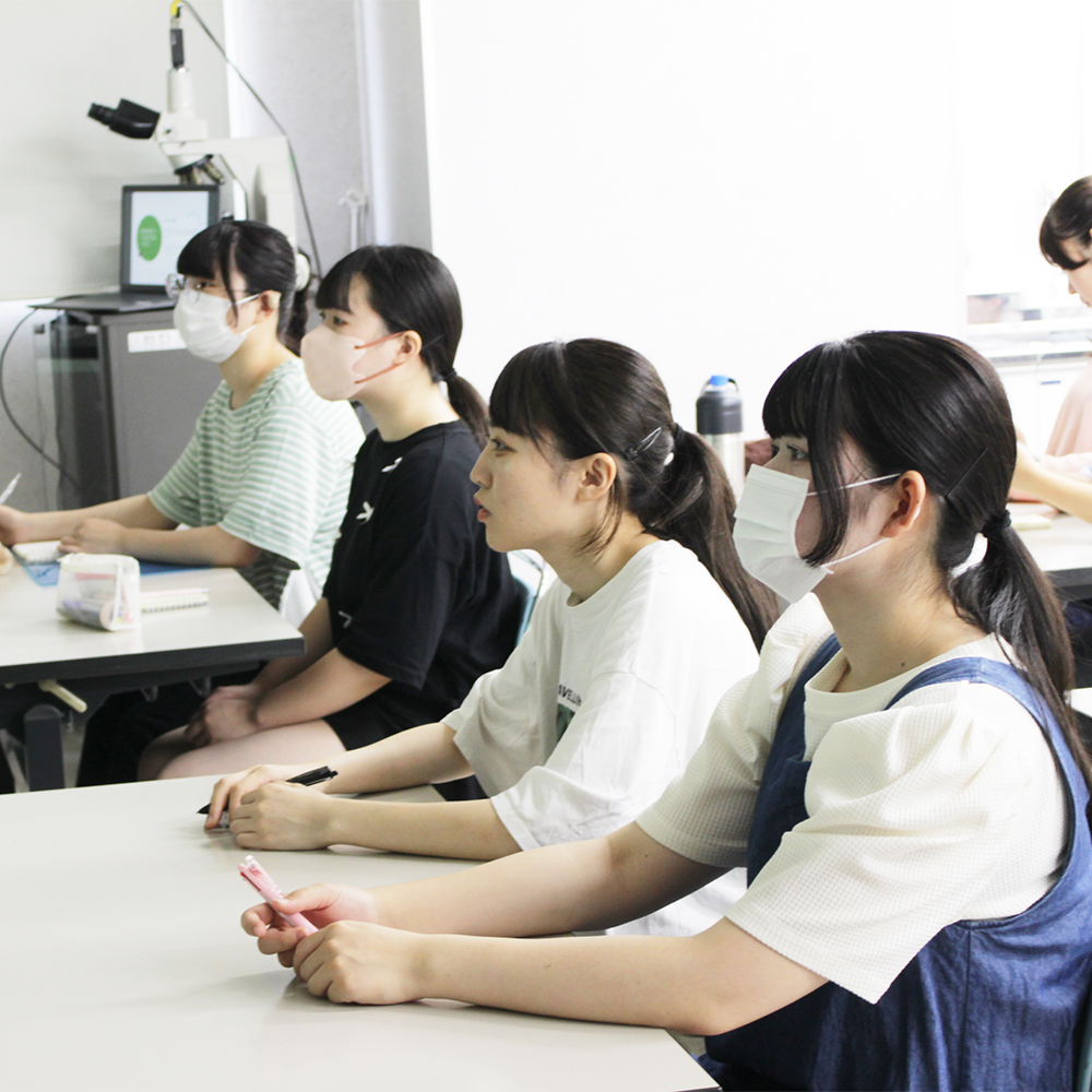☆歯石除去手術の勉強会☆